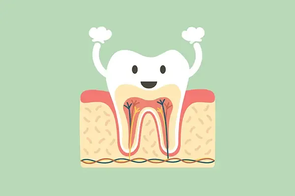 Cartoony, happy tooth with healthy roots and nerves, symbolizing successful root canal treatment for kids.